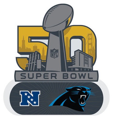 Panthers Super Bowl 50 Team pin