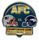 Patriots vs Broncos AFC Championship pin