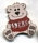 49ers Teddy Bear pin