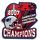 Patriots 2007 AFC Champions pin