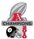 Steelers 2010 AFC Champs pin
