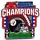 Steelers AFC Champions pin