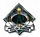 A\'s Diamond & Banner pin