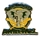 A's 1993 Elephant w/ Bats pin A's 1993 Elephant w/ Bats pin