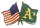 A\'s Flag / U.S. Flag pin