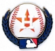 Astros Baseball & Laurels pin