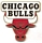 Bulls Logo pin