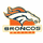 Broncos Horsehead Logo pin