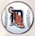 Tigers Baseball pin