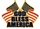 God Bless America Dual Flags pin