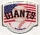 Giants Wincraft Flag pin