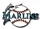 Marlins Baseball Logo pin