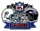 Dolphins vs Ravens 08/09 Playoff pin