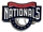 Nationals Logo pin - Aminco