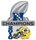 Packers 2010 NFC Champs pin