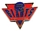 NY Giants 1992 Triangle pin
