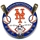 Mets 2000 NL Champions pin (round)