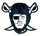 Raiders Face & Swords pin Raiders Face & Swords pin