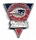 Patriots Pewter Triangle pin
