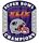 Patriots Super Bowl XLIX Champs Ring pin