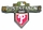 Phillies 2011 Post Season pin