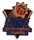 Suns 1993 Western Conference Champs pin Suns 1993 Western Conference Champs pin