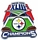 Steelers Super Bowl XLIII Champs pin