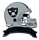 Raiders Helmet & Banner pin