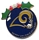 Rams Christmas Ornament pin