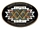 Super Bowl XXX Oval Logo pin
