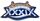 Super Bowl XXXIX Logo pin by PSG