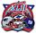 Super Bowl XLII Dueling pin