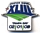 Super Bowl XLIII Primary Logo pin