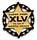 Super Bowl XLV Badge pin