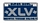 Super Bowl XLV License Plate pin
