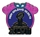 Super Bowl XLVII Dated pin
