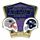 Super Bowl XLIX Dueling pin