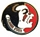 Florida Seminoles Logo pin #1