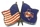 Rangers / U.S. Flag pin