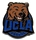 UCLA Bruins pin