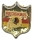 Redskins Shield pin